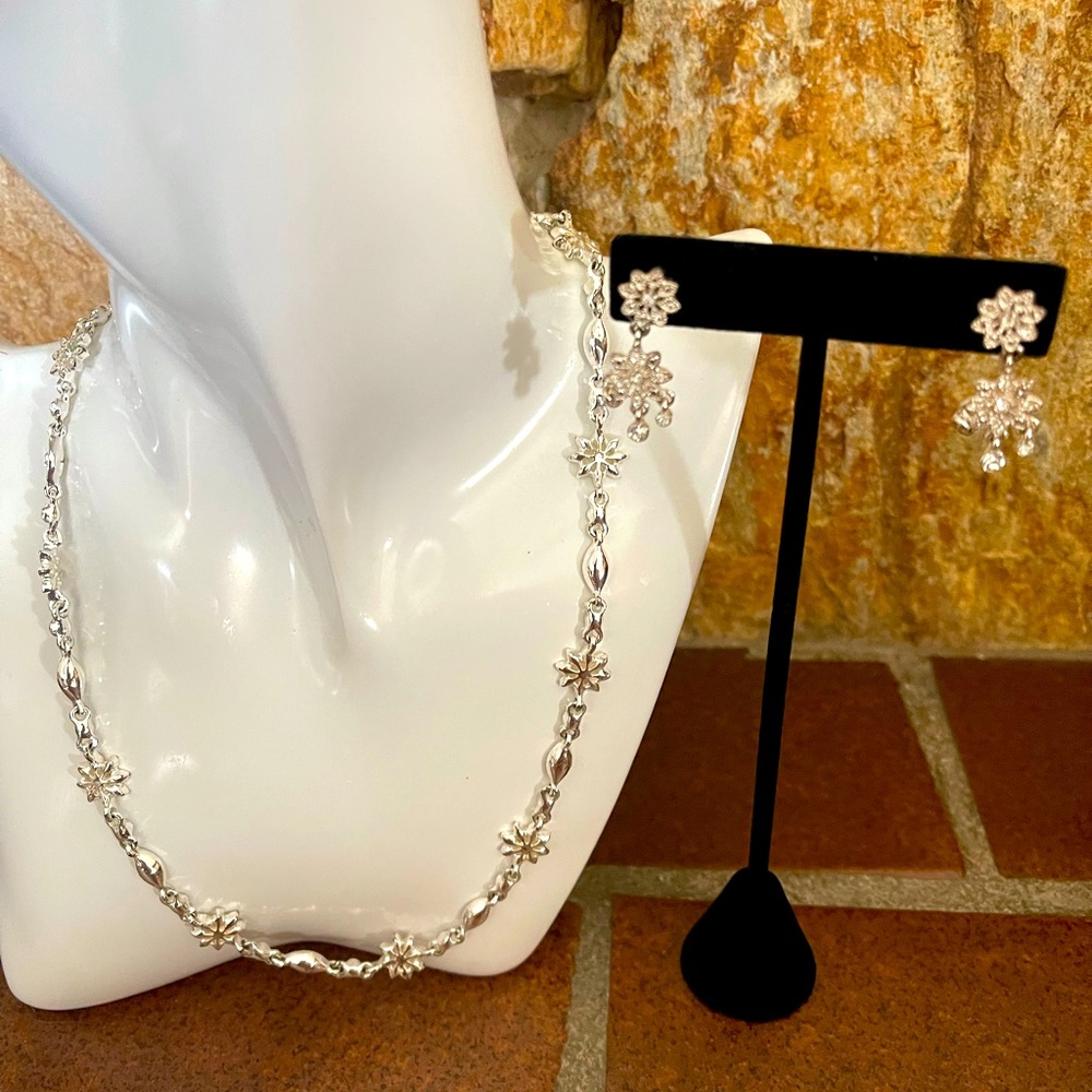 NWOT Silver Plated Necklace and Ear Ring Set